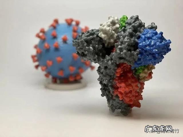 美国西方国家医学先进为什么感觉研制不出可靠的新冠疫苗? 美国是不是研制出了新冠疫苗