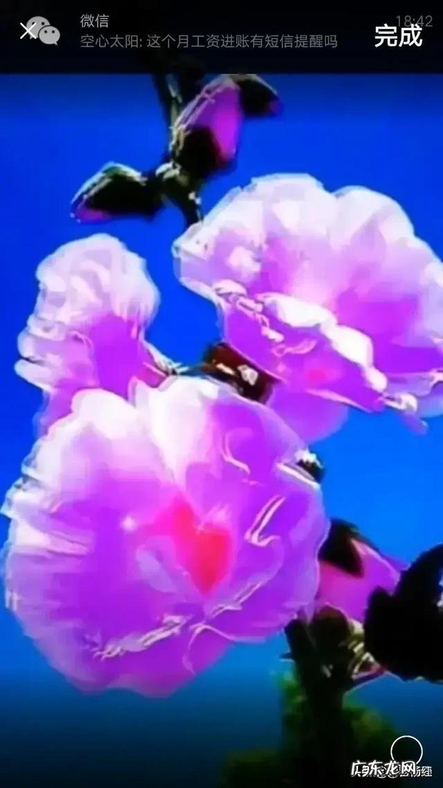 您认为六七十岁的老人在家庭和社会中的行为举止应该是怎样的?