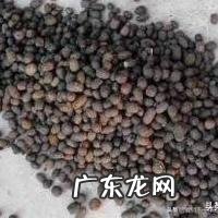 鸡粪种蔬菜好吗？使用时要注意什么问题？