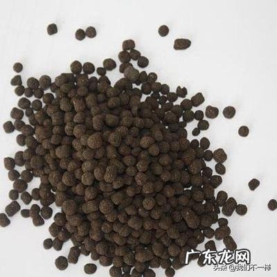 鸡粪种蔬菜好吗？使用时要注意什么问题？