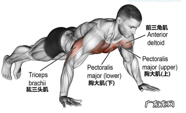 沙袋绑脚腕能让跳，跑步坚持的更久和轻快吗？ 绑沙袋跑步真的能锻炼吗