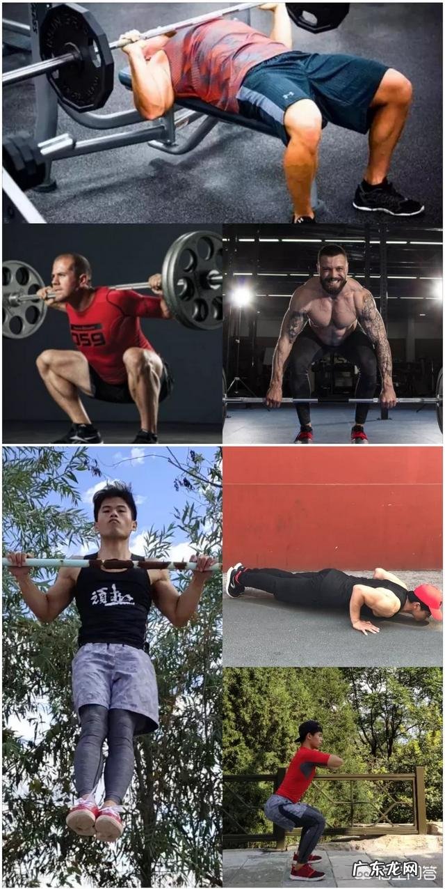 因为疫情健身停练两个月怎么恢复力量呢？