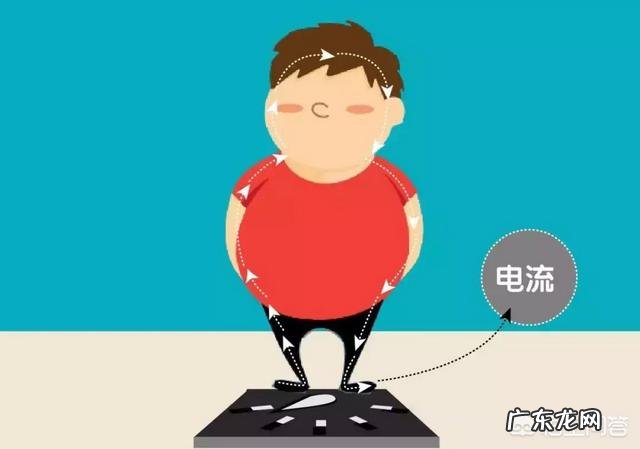 体脂称有用吗?原理是什么?想减肥,有必要入手吗?