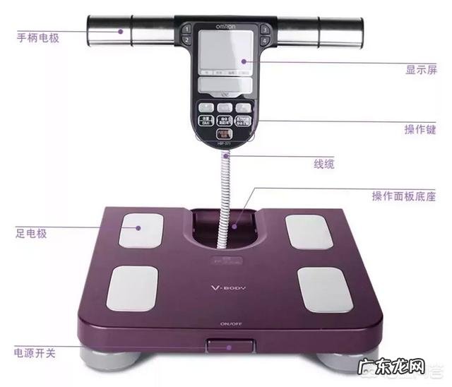 体脂称有用吗?原理是什么?想减肥,有必要入手吗?