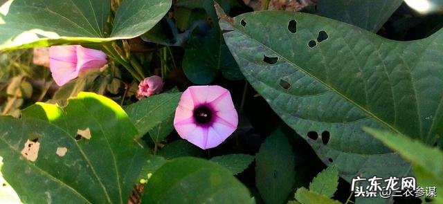 减肥期间需要戒掉零食吗?