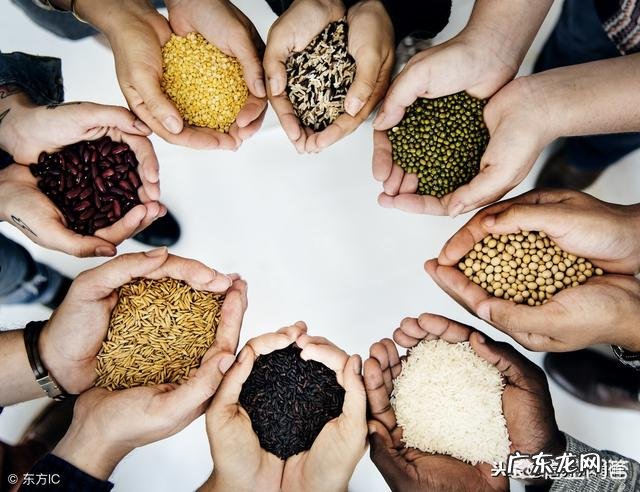 听说吃糙米可以减肥，是真的吗？应该怎么吃呢？