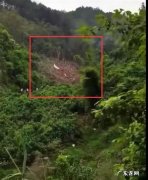 参与东航客机事故救援的广西村民：客机完全解体