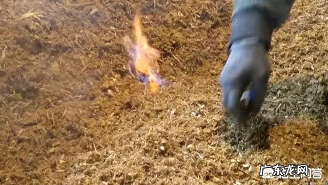 农民自制的高粱酒或玉米酒能不能喝?怎么喝才安全?