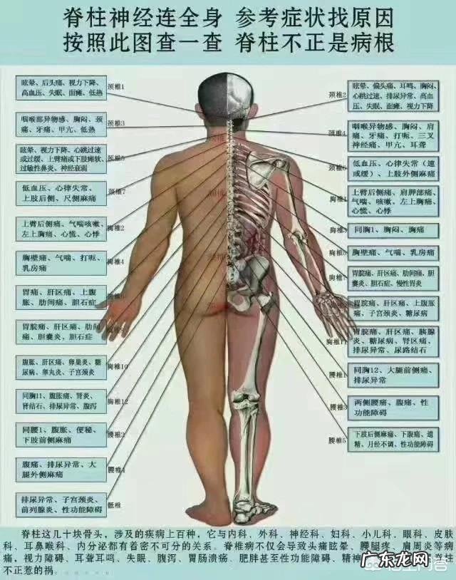 站的时间久了腰疼是什么原因