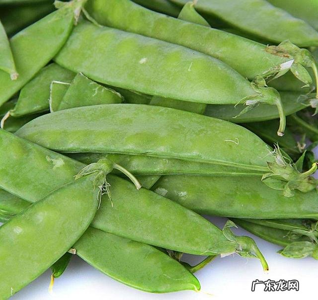 那几种菜一起炒比较有营养?