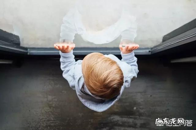 怎样制定学习计划可以提高效率