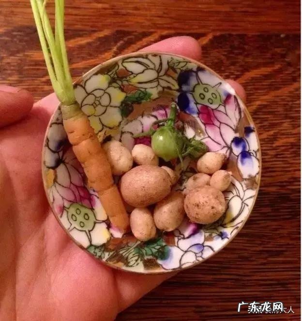 号称每天3000个仰卧起坐的C罗,究竟是如何做到的