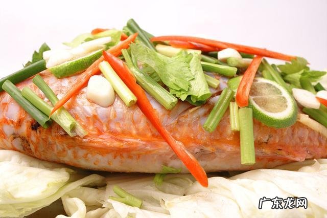 生酮饮食心肌纤维化 生酮饮食导致心脏纤维化