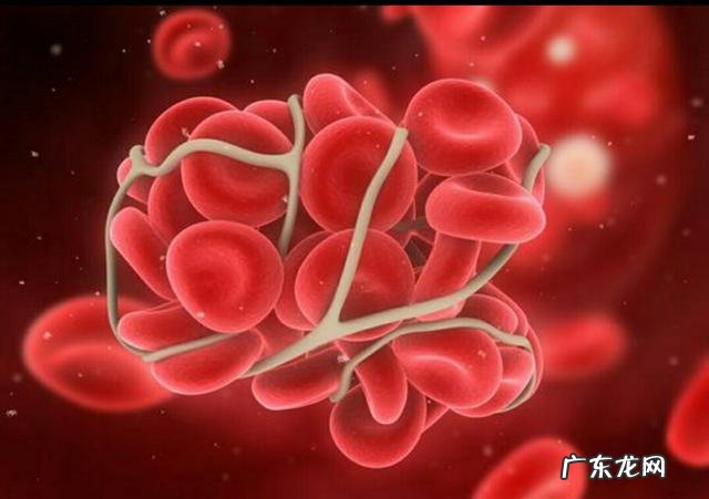 为什么南方人比北方人长寿?