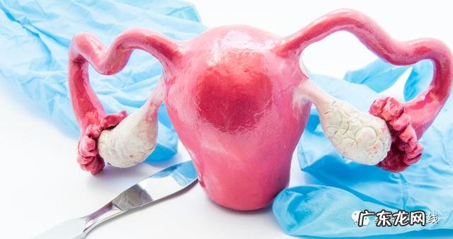 低碳食物一览表 低碳饮食和生酮饮食对照表