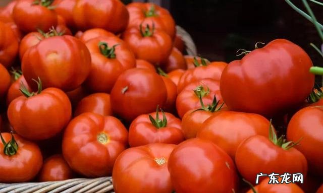 生酮饮食可持续多久 生酮8小时饮食法