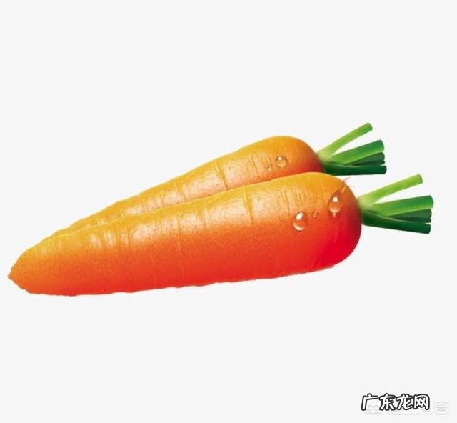 胡萝卜和奶粉打成糊状可以吃吗?