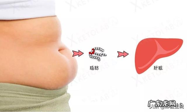 生酮主食推荐 适合生酮减肥吃的主食