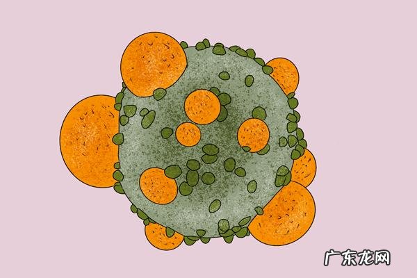 生酮饮食法治疗癌症 生酮饮食坚持多久对癌症有效