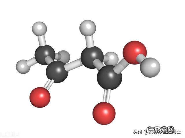 生酮饮食主要指什么 生酮饮食由什么提供能量