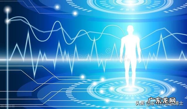 生酮饮食主要指什么 生酮饮食由什么提供能量