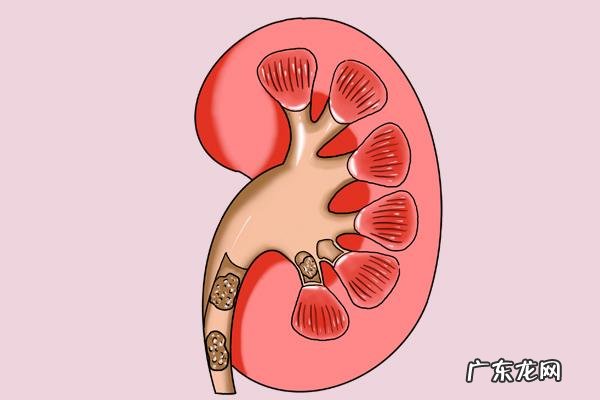 生酮饮食成功案例 女生生酮饮食的案例