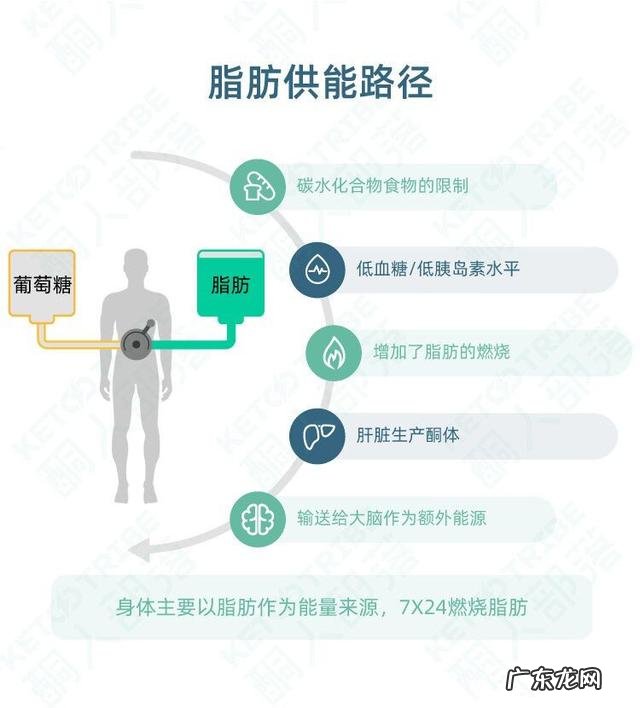生酮最快的十种食物 生酮饮食如何快速入酮
