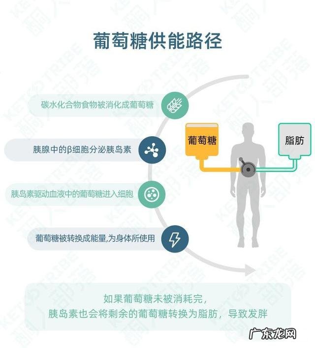 生酮最快的十种食物 生酮饮食如何快速入酮