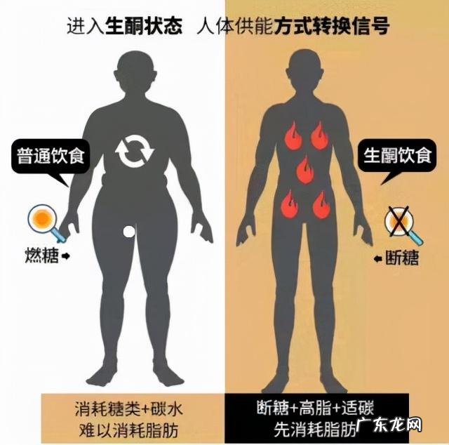 生酮饮食的酮是什么酮 生酮饮食中如何快速入酮