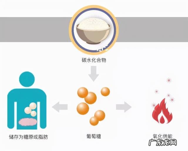 生酮饮食的酮是什么酮 生酮饮食中如何快速入酮