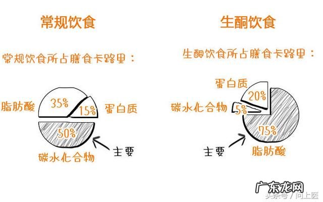 生酮食谱一天瘦5斤 生酮饮食怎么减肥最快最有效