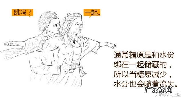 生酮食谱一天瘦5斤 生酮饮食怎么减肥最快最有效