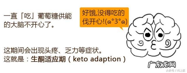 生酮食谱一天瘦5斤 生酮饮食怎么减肥最快最有效