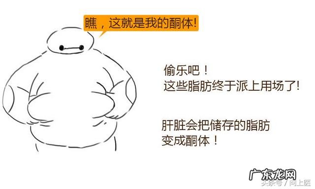 生酮食谱一天瘦5斤 生酮饮食怎么减肥最快最有效