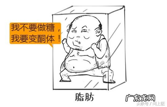 生酮食谱一天瘦5斤 生酮饮食怎么减肥最快最有效