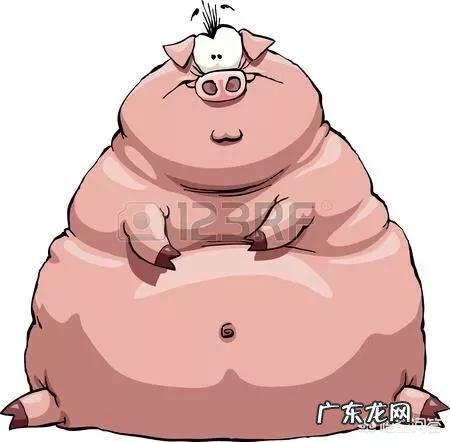 夏天要来了，一直为减肥而苦恼该怎么办？