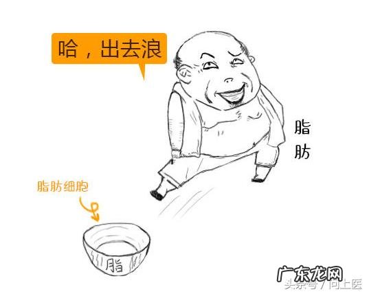 生酮饮食吃大量肥肉 为啥生酮饮食会要吃肥肉