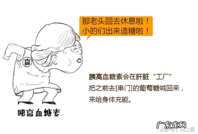 生酮饮食吃大量肥肉 为啥生酮饮食会要吃肥肉