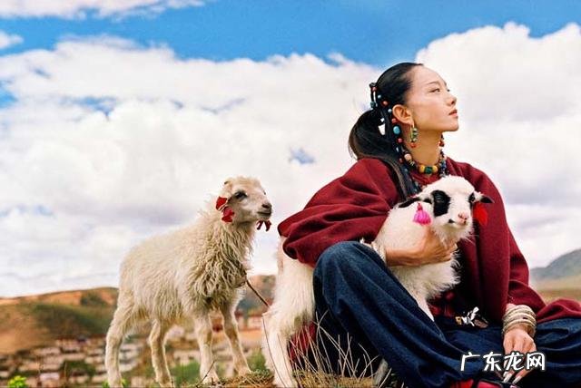 杨丽萍三餐都不吃米饭 杨丽萍不吃米饭吃的什么