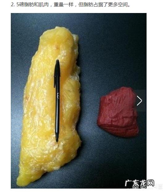 无氧运动结束之后是否能补充一次蛋白质,然后再进行有氧运动?