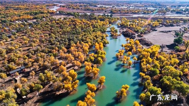 日本医生不吃主食治糖尿病 日本人也爱吃米饭为何不得糖尿病