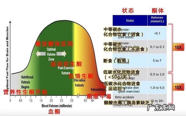 哈佛研究喝粥延长寿命 哈佛博士后不吃主食低碳40年