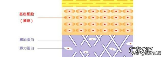 大家觉得“面膜”能改善皮肤衰老吗？