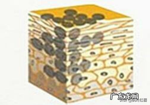 大家觉得“面膜”能改善皮肤衰老吗？