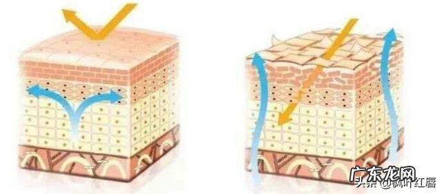 大家觉得“面膜”能改善皮肤衰老吗？