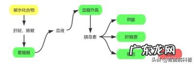 单靠运动不能减肥必须合理饮食 运动减肥需要低碳饮食