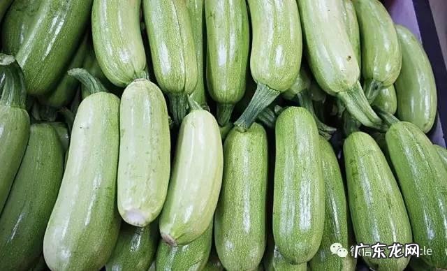 低碳食谱一日三餐 低碳饮食最好的十大食物