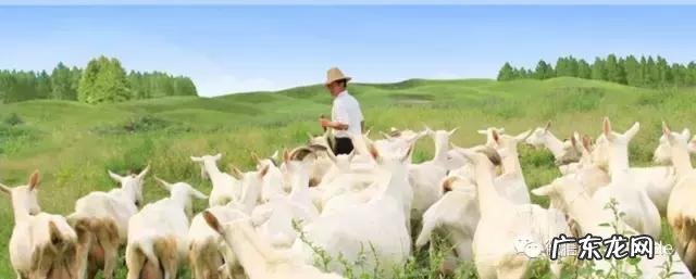 低碳食谱一日三餐 低碳饮食最好的十大食物