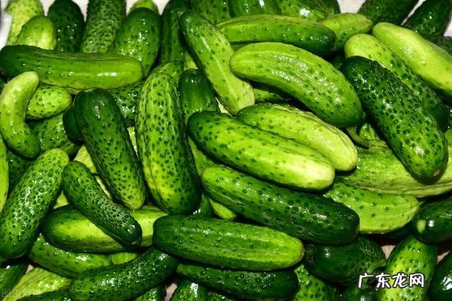 150斤懒人减肥方法 如何快速减肥 懒人减肥法