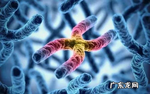 有些人过年都吃不胖,而我喝水都长肉,是基因的问题吗?